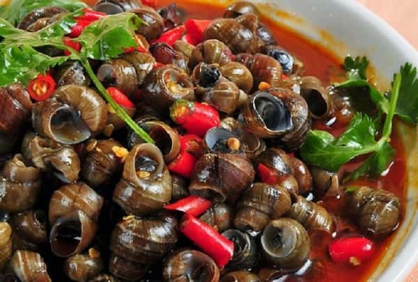 Thưởng thức món ốc chảo Nha Trang vô cùng dân giã nhưng đã đốn tim không biết bao tín đồ yêu thích ẩm thực