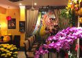 Spa Nha Trang: 10 nơi nổi tiếng