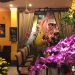 Spa Nha Trang: 10 nơi nổi tiếng