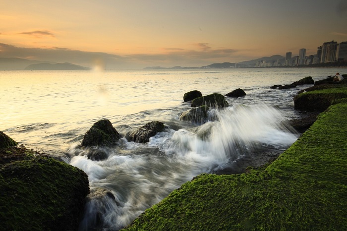 Bãi rêu Nha Trang (Ảnh: Sưu tầm)