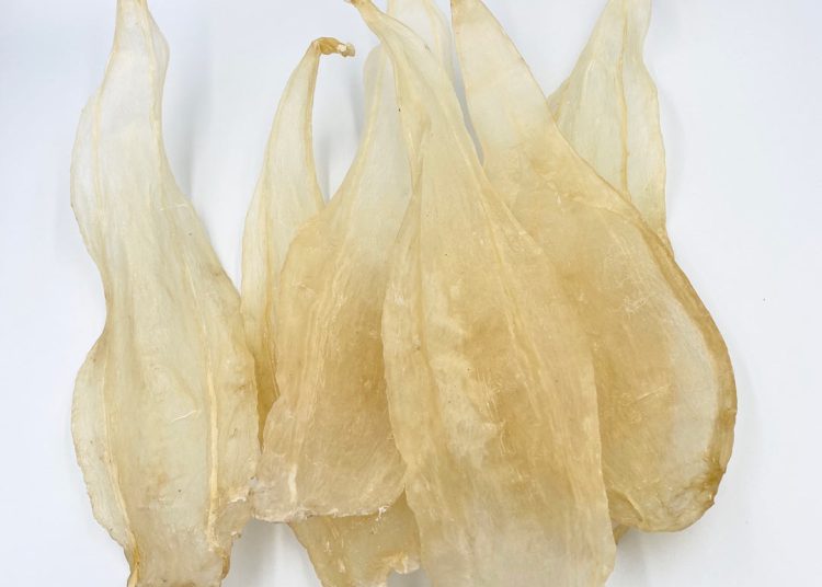 Bong bóng cá lạc là loại bong bóng cá phổ biến nhất tại Nha Trang, bạn có thể dễ dàng tìm thấy tại các chợ hoặc cửa hàng bán đặc sản