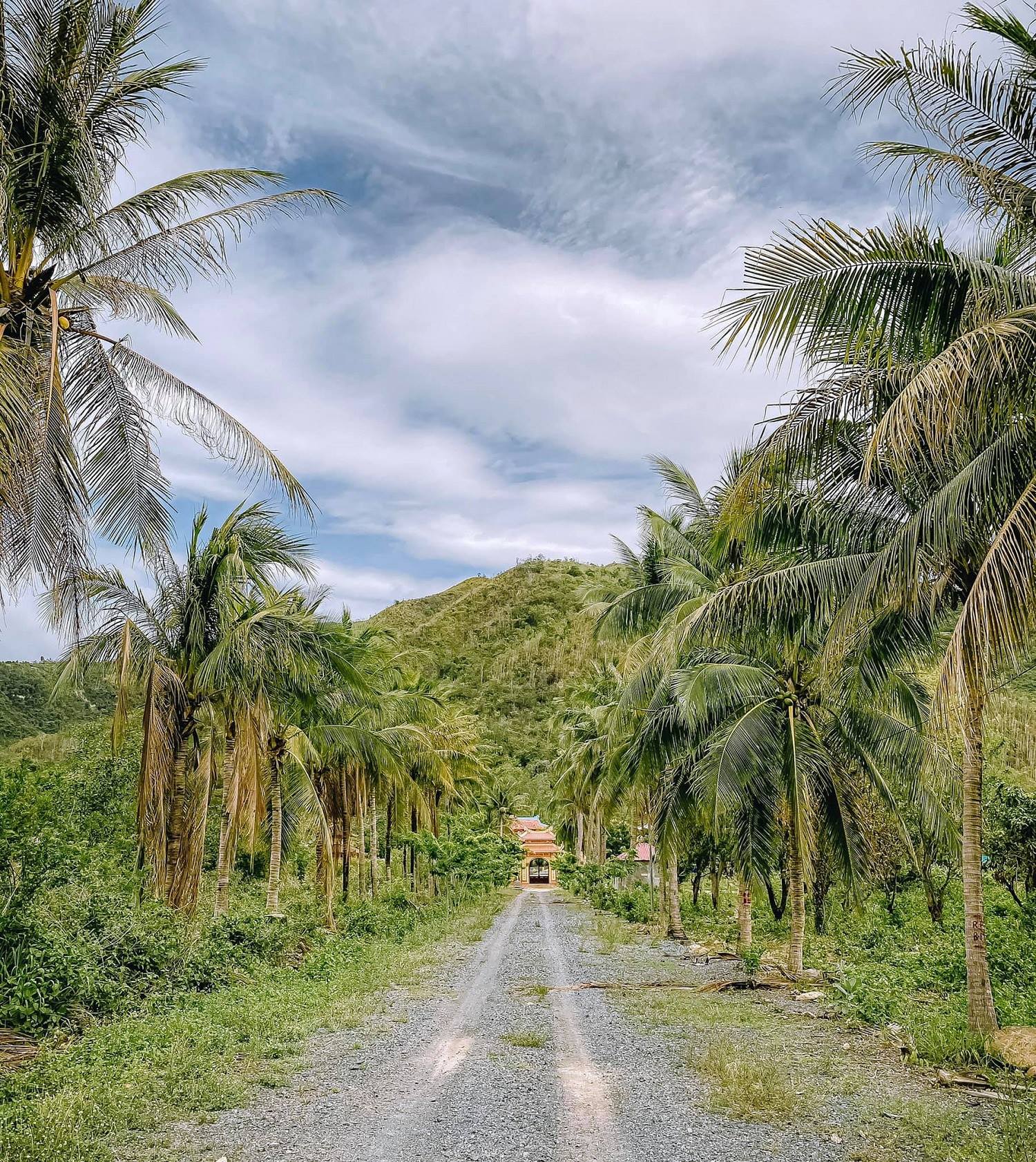 Đường vào chùa Nghĩa Sơn Nha Trang khá trắc trở với nhiều ổ gà và vài khúc đường sỏi đá, nhưng đừng vì thế mà nản lòng nhé bạn ơi!