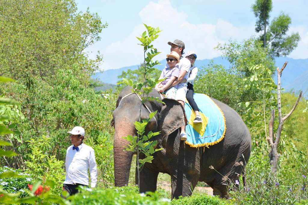 Cưỡi Voi - Đảo Hoa Lan Nha Trang 