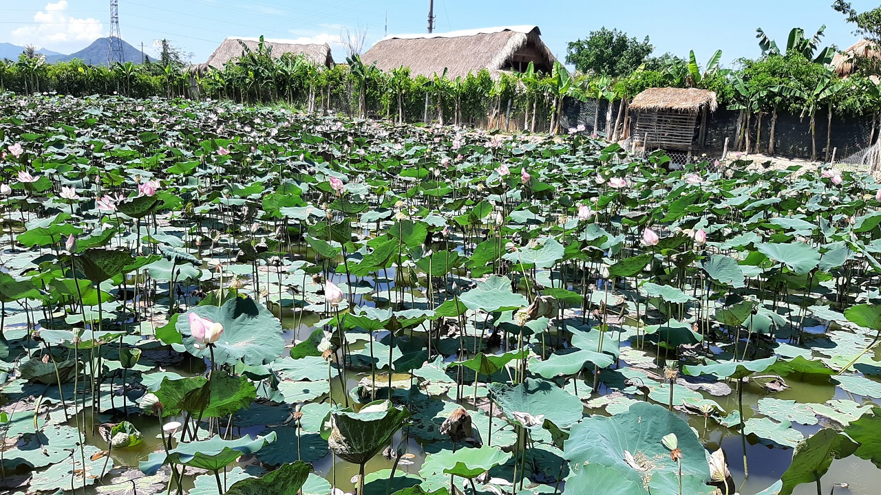 Hồ Hoa Xen - Nhà hàng Nha Trang Xưa