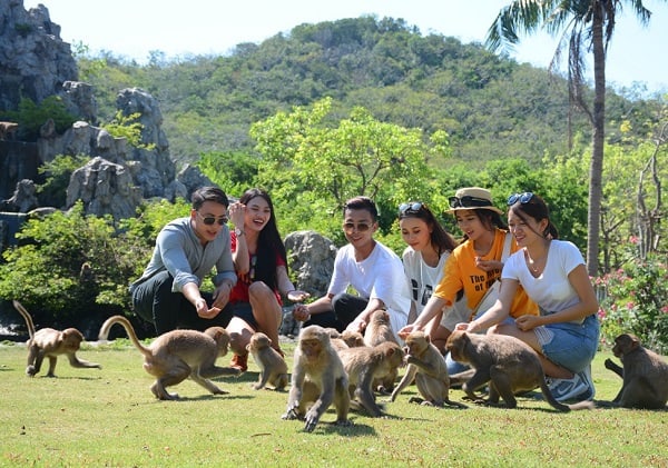 Kinh nghiệm du lịch đảo Khỉ Nha Trang: Chơi gì ở đảo khỉ Nha Trang?