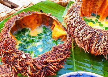 Cách chế biến Nhum Biển nướng mỡ hành thơm ngon béo ngậy hấp dẫn