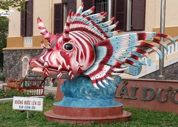 Viện Hải Dương Học Nha Trang – Bảo tàng khoa học đầu tiên Việt Nam