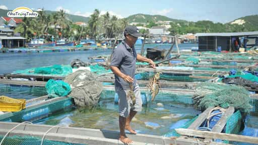 Vì sao Bình Ba được gọi là Quốc Đảo Tôm Hùm