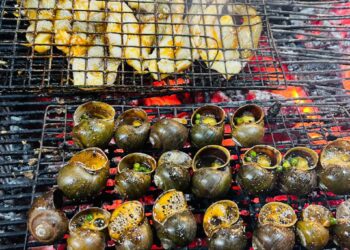 Quán ốc ngon Nha Trang