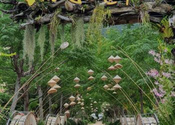 đảo hoa lan nha trang