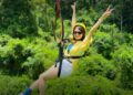 kong forest